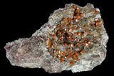 Red-Orange Bipyramidal Wulfenite Crystals - Melissa Mine, Arizona #118996-1